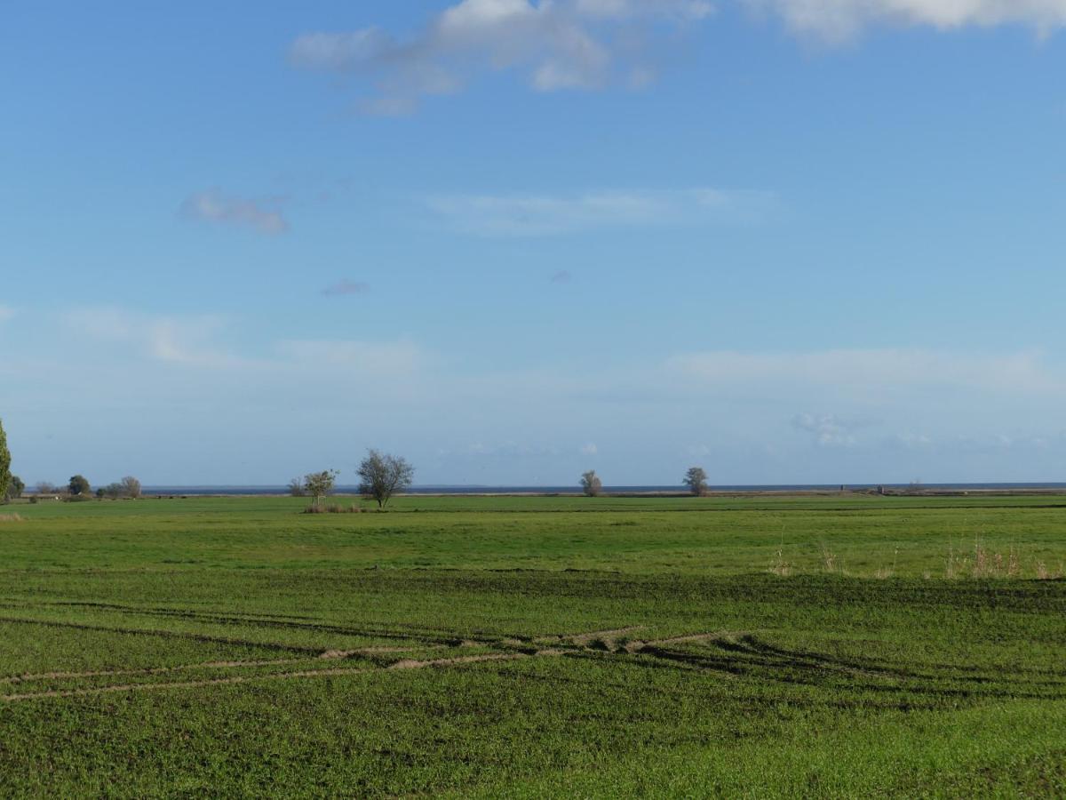 Landhaus Am Haff Stolpe auf Usedom Exterior foto