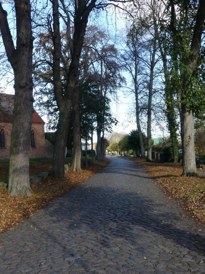 Landhaus Am Haff Stolpe auf Usedom Exterior foto