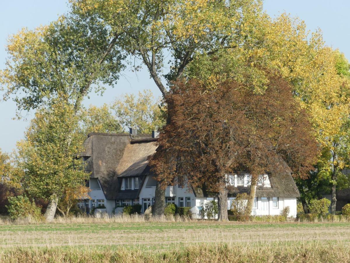 Landhaus Am Haff Stolpe auf Usedom Exterior foto